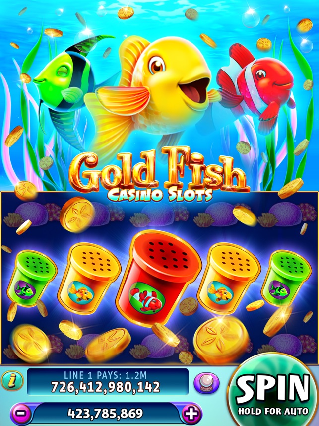 골드피쉬카지노 안전한 플레이 가이드와 게임 소개